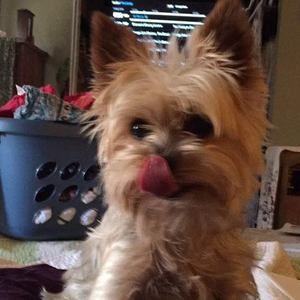 Meet your Posher, Cindy